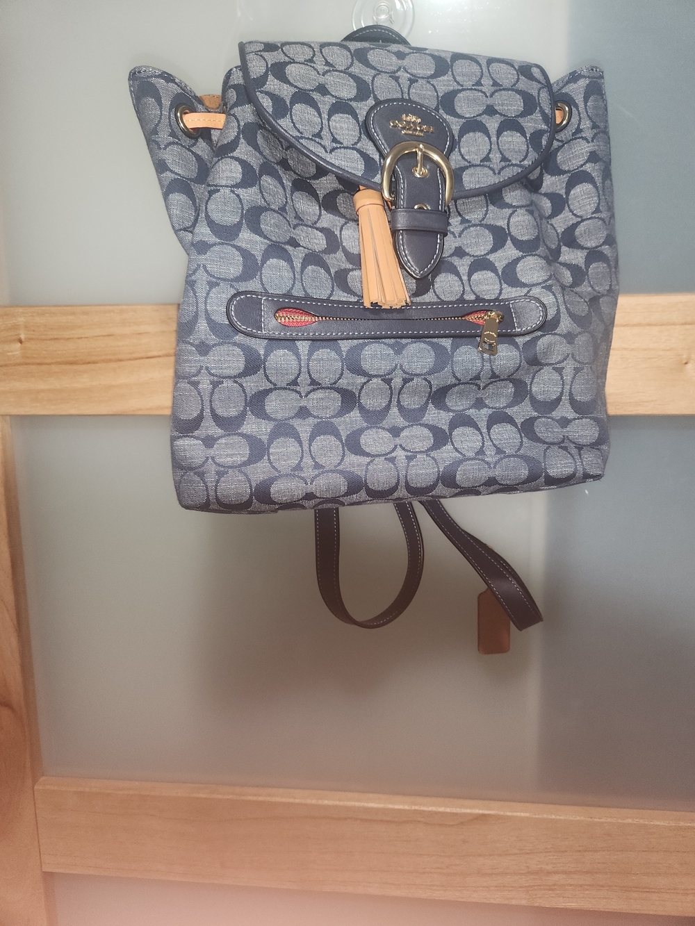 Coach Evie Backpack Signature Denim Indigo Blue Leather Tassel Bag (F68529)